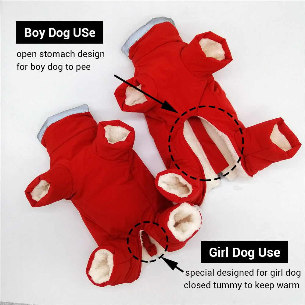 Winter Dog Overalls for Warm, Dry, Safer Winter Walks