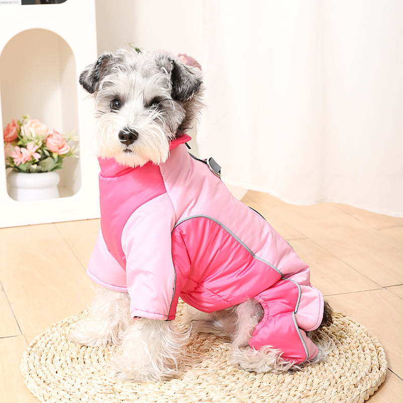 Dog Winter Jacket for Warm, Windproof Winter Walks