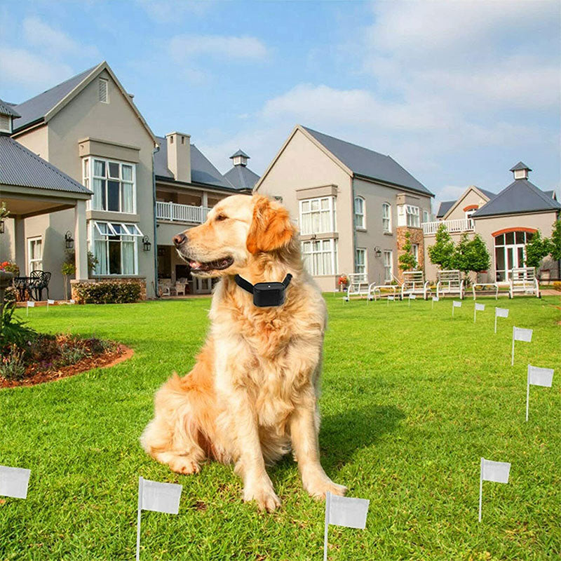 Invisible Dog Fence System With 984 Ft Boundary Wire