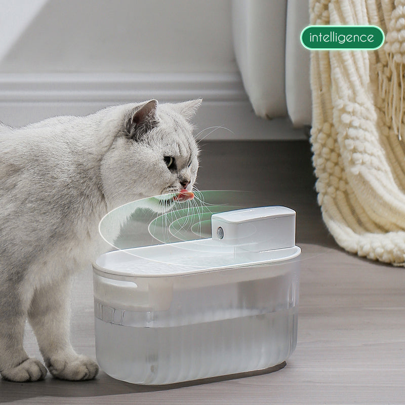 Wireless Pet Water Dispenser for Fresher Daily Hydration