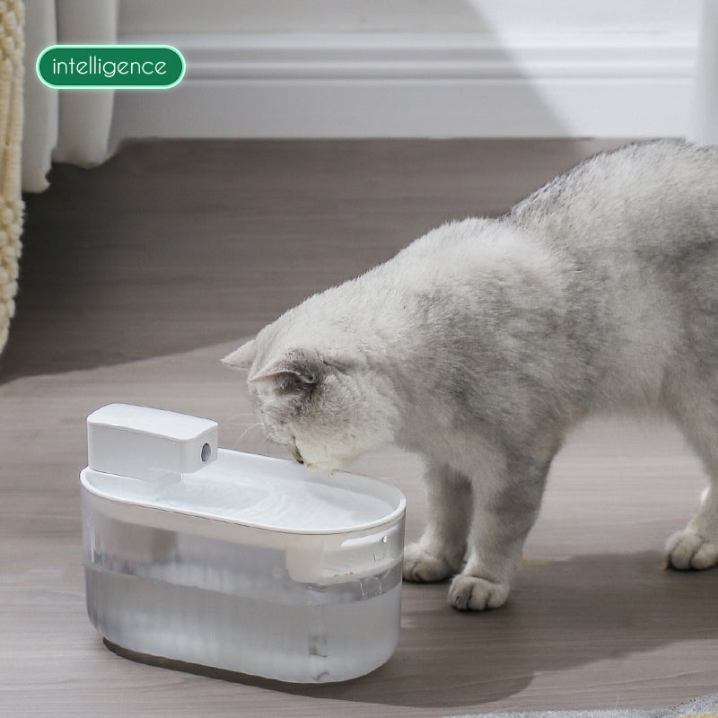 Wireless Pet Water Dispenser for Fresher Daily Hydration