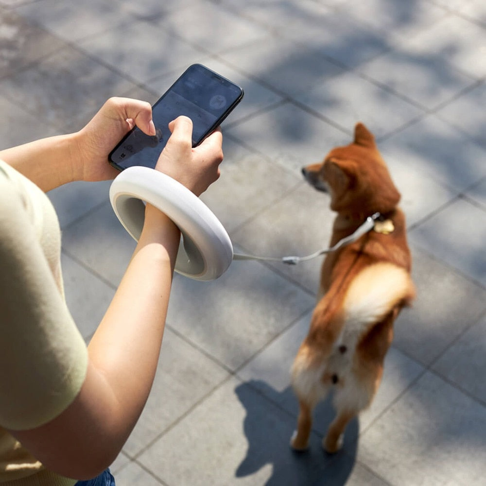 Smart Retractable Dog Leash With LED Light for Walks