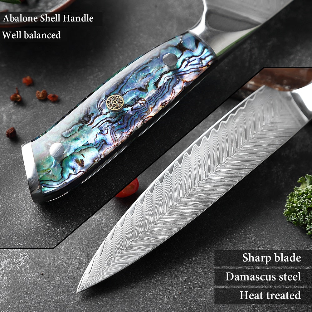 Damascus Steel Knife Set with Abalone Shell Handles