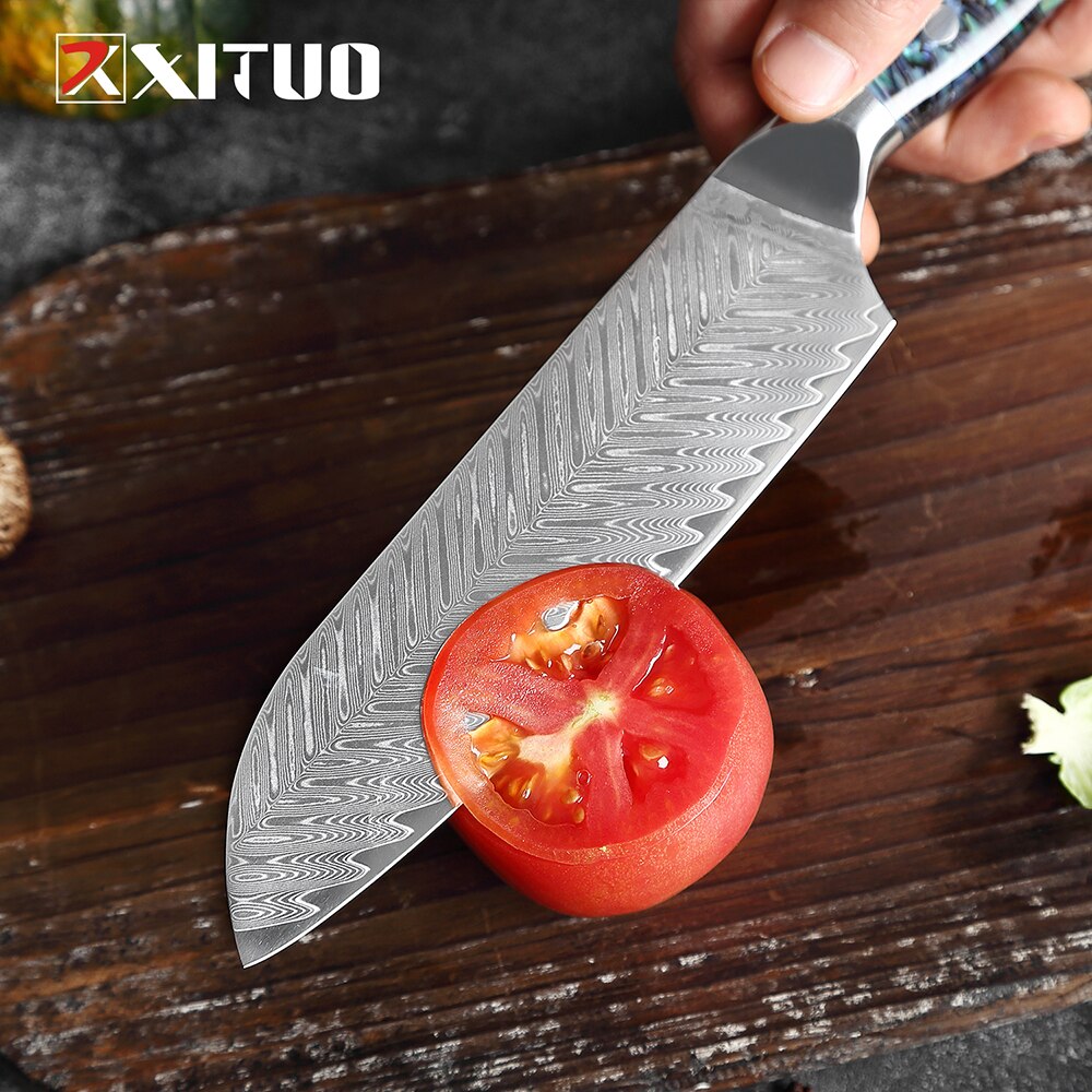 Damascus Steel Knife Set with Abalone Shell Handles