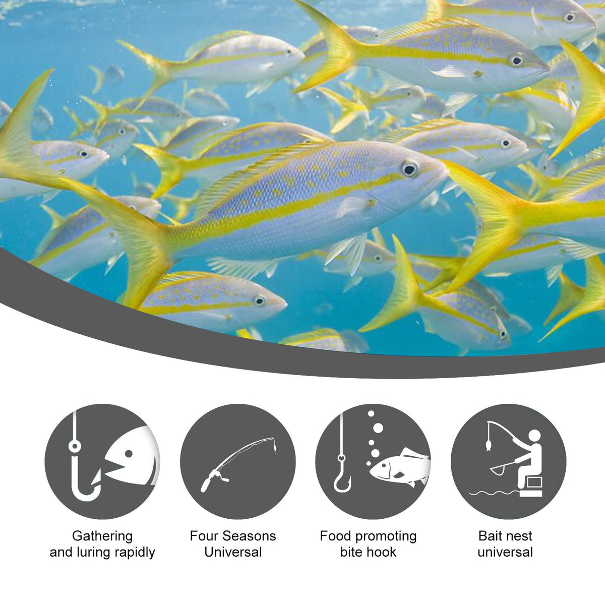 Corn Fish Bait for Portable Freshwater Fishing Trips