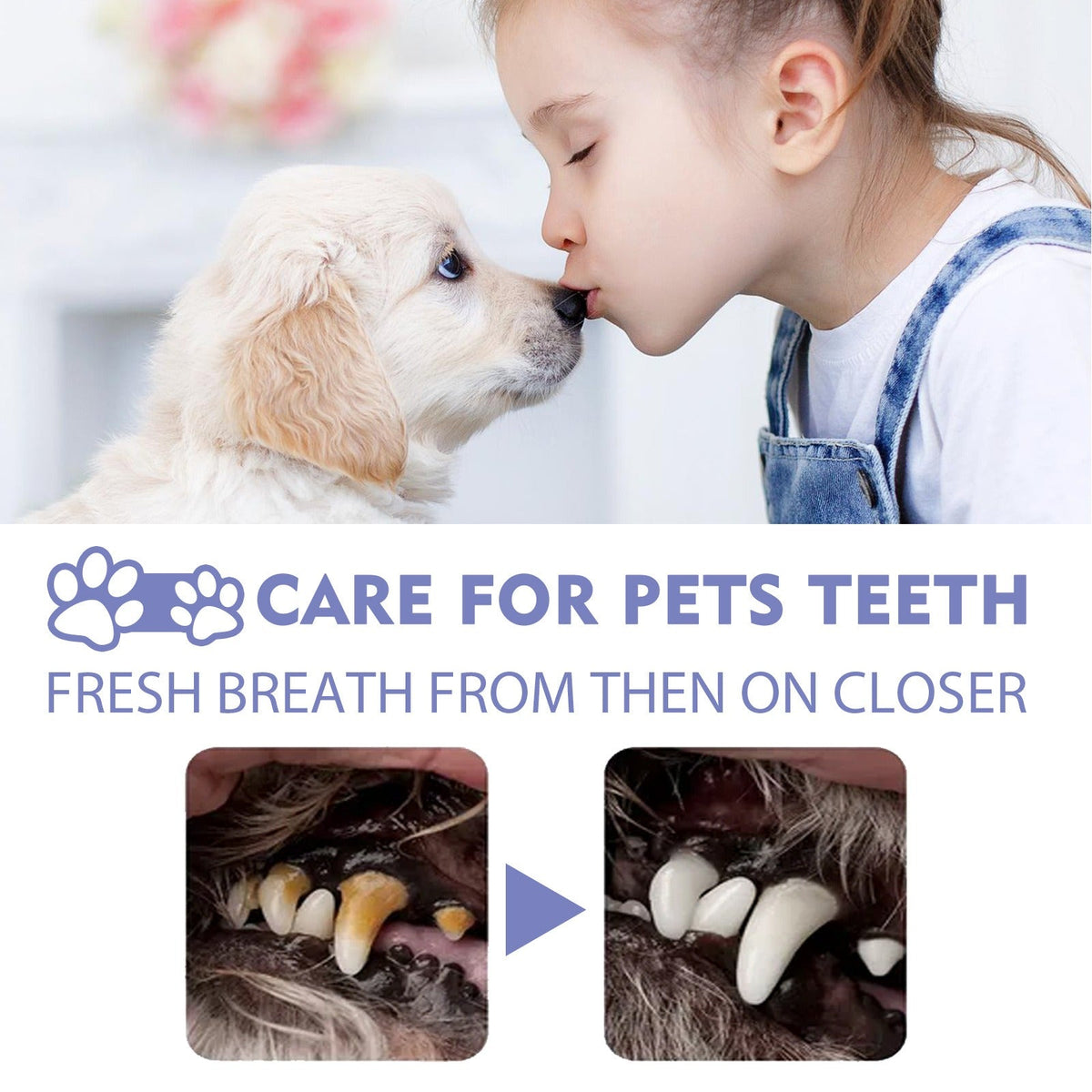 Pet Teeth Cleaning Spray for Fresher Breath & Gums