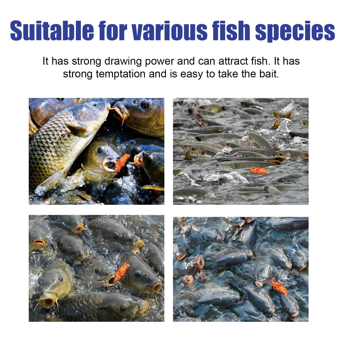 Fishing Bait Attractant Powder for Stronger Fish Bites
