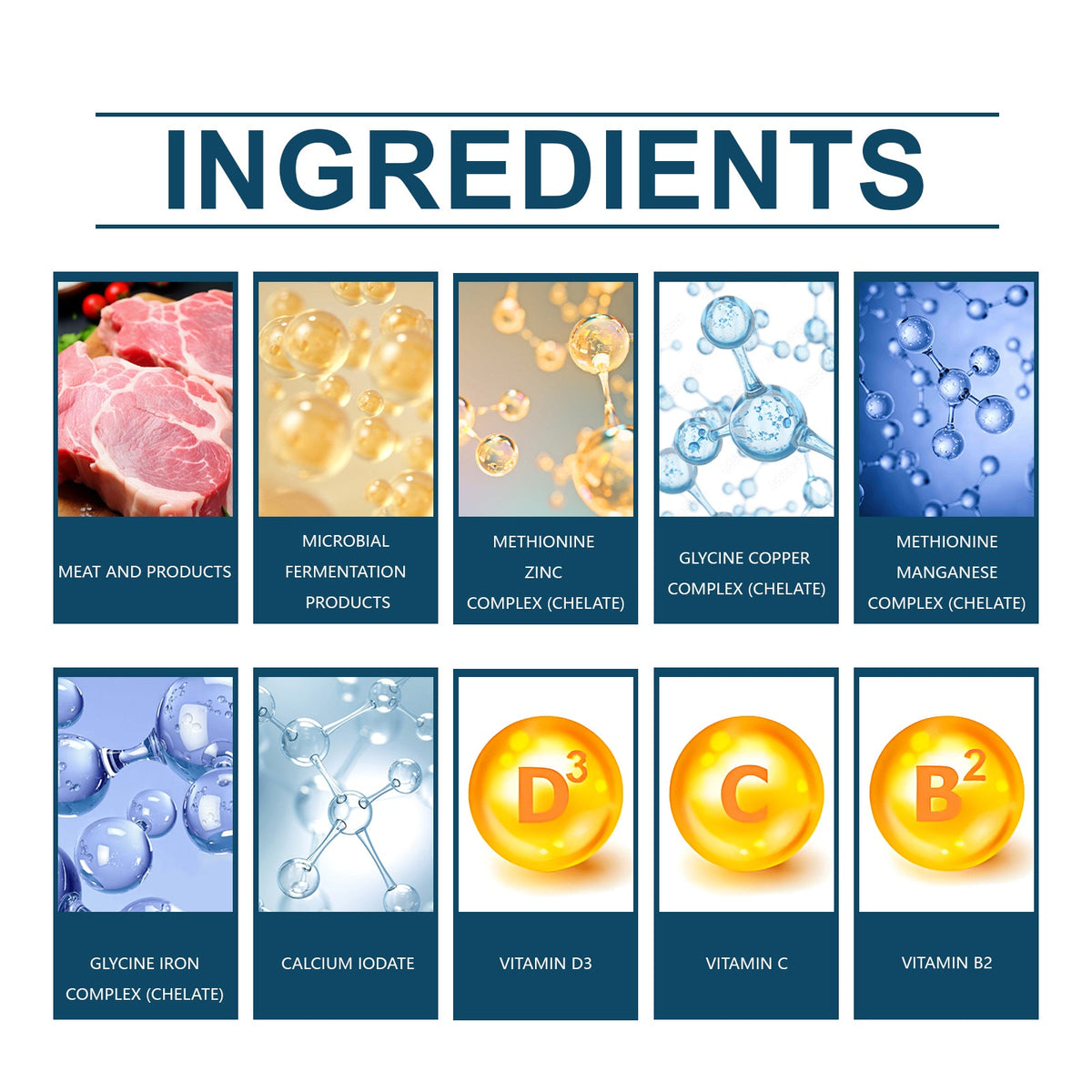 Dog Calcium Magnesium Supplements for Daily Wellness
