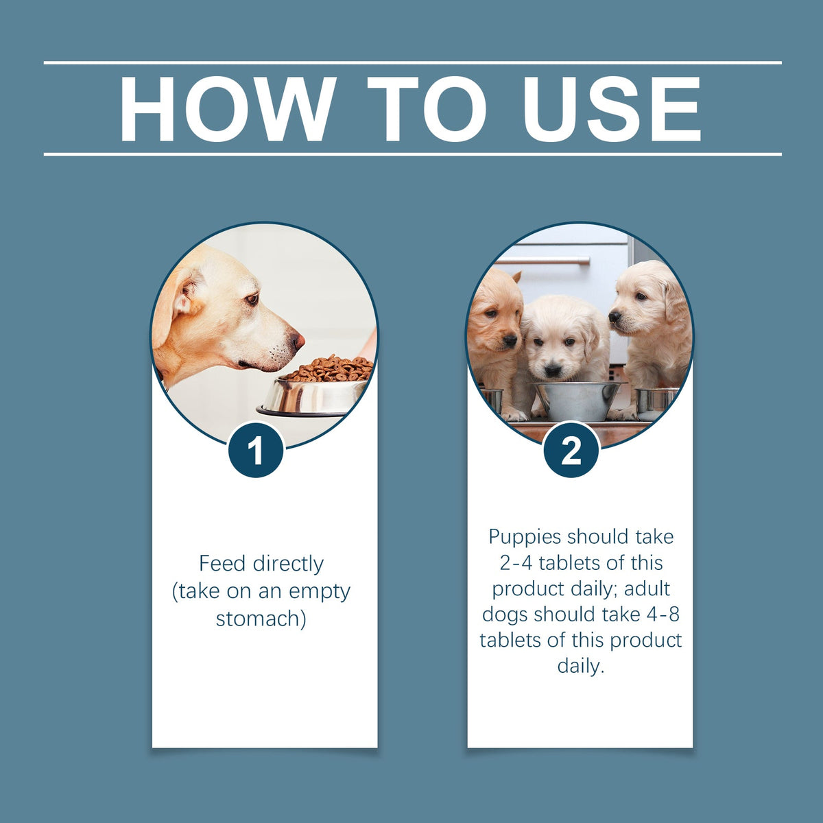 Dog Calcium Magnesium Supplements for Daily Wellness