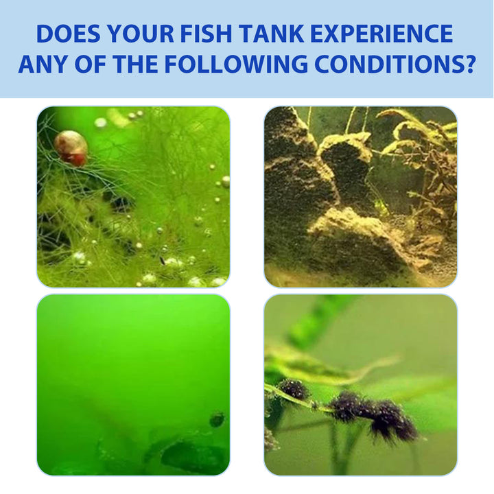Aquarium Water Purifying Powder for Clearer Fish Tanks