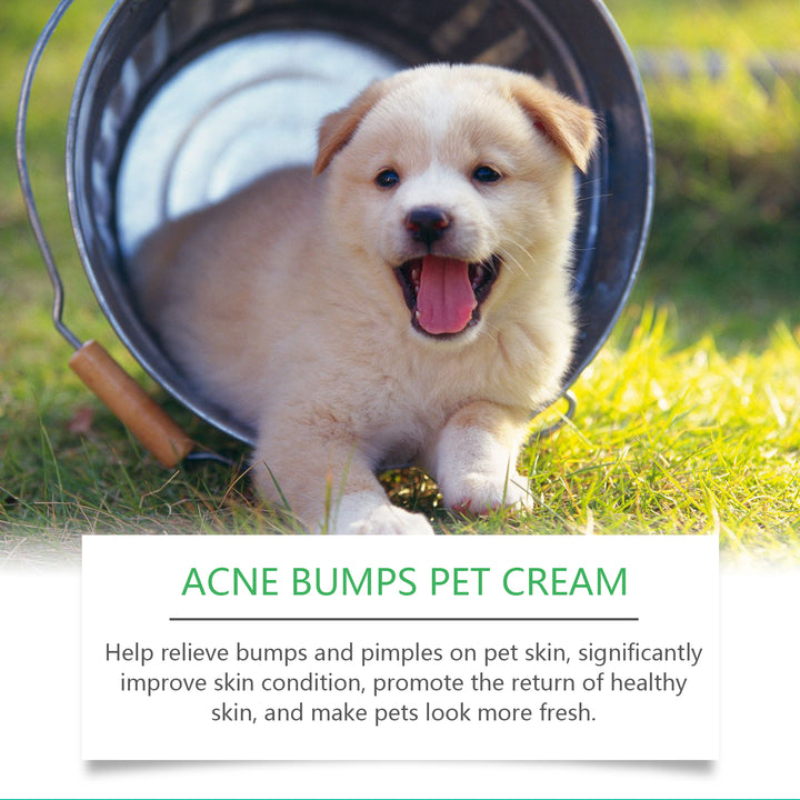 Pet Skin Care Cream for Irritated Bumps & Redness