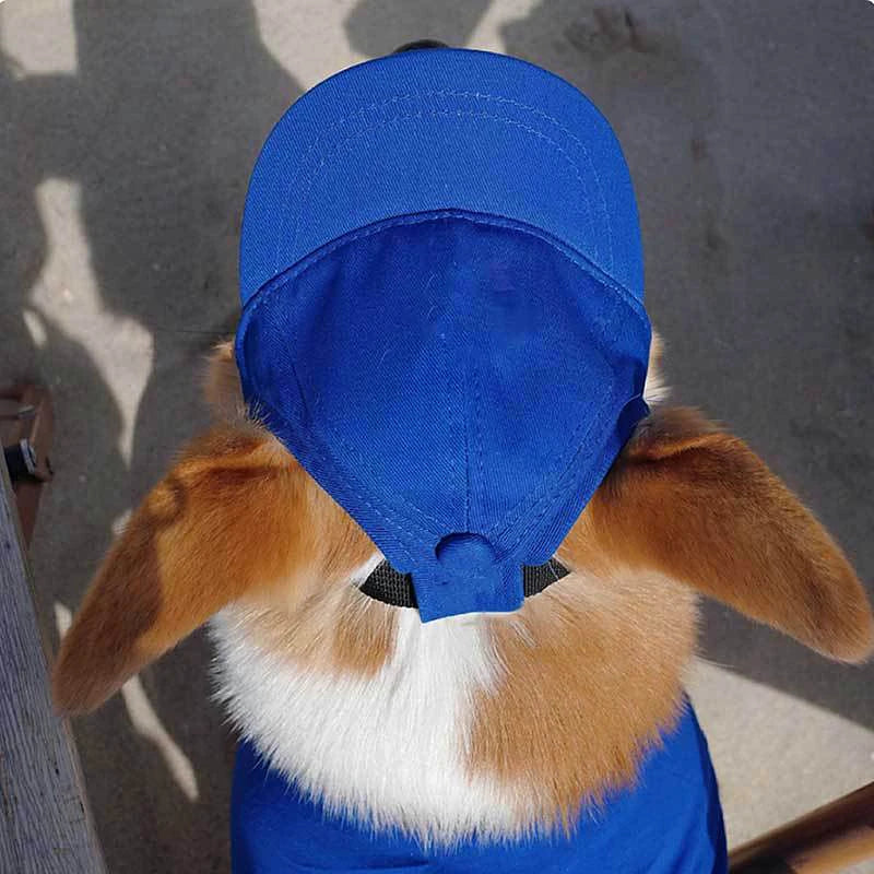 Dog Baseball Cap with Ear Holes for Sun Protection