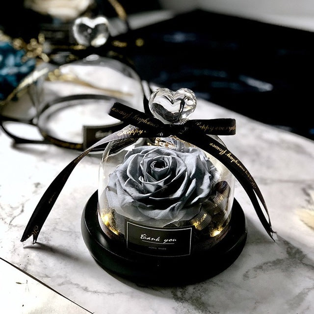 Preserved Rose Dome Gift With Warm Illuminated Lights