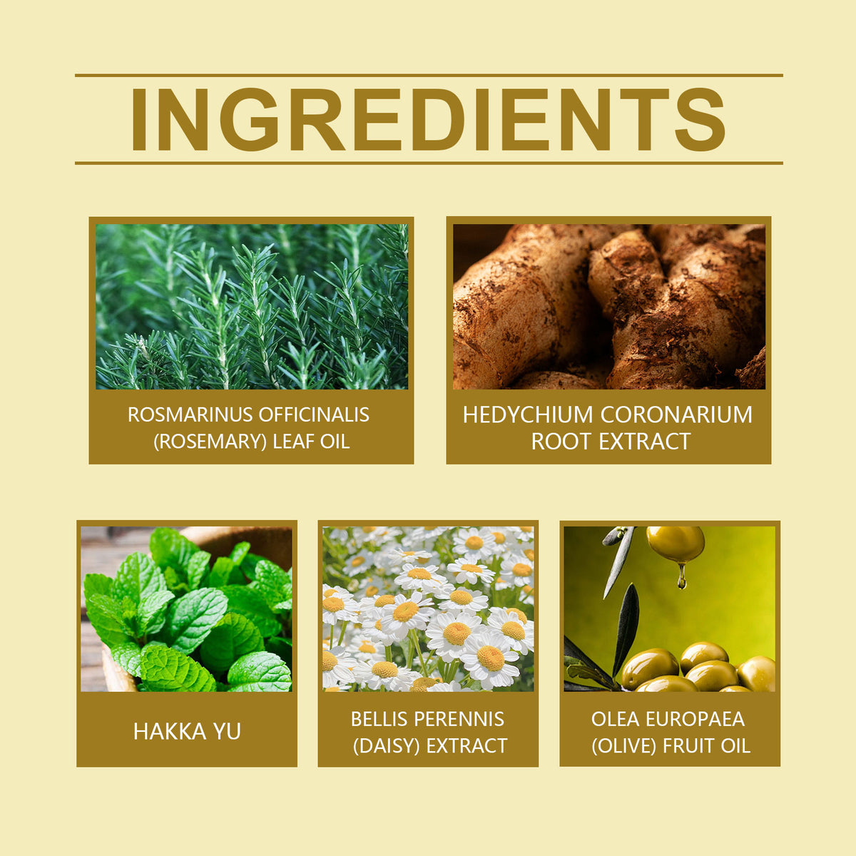 Men's Rosemary Hair Oil for Fuller-Looking, Smooth Hair