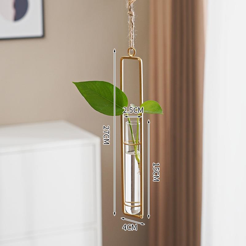 Glass Hydroponic Vase for Stylish Wall Plant Display