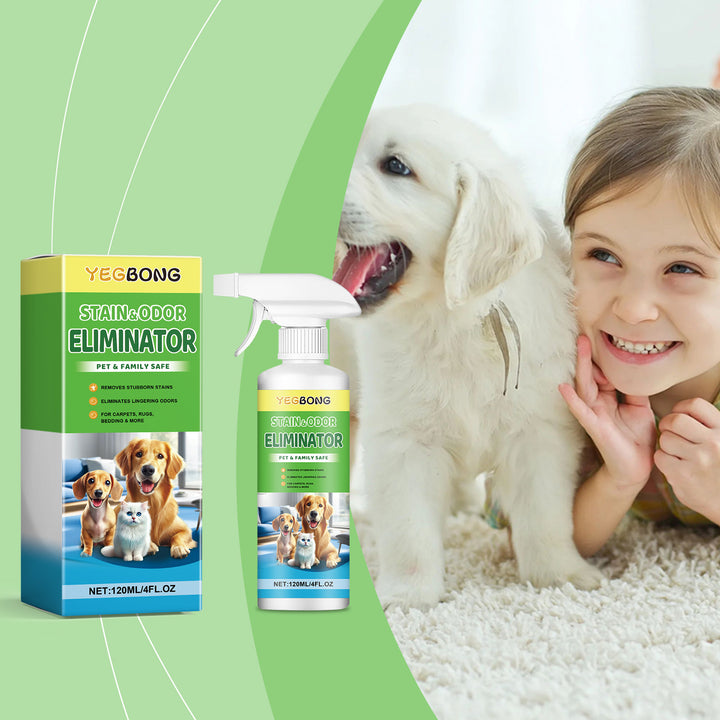Pet Stain Remover for Odor-Free, Gentle Home Cleaning