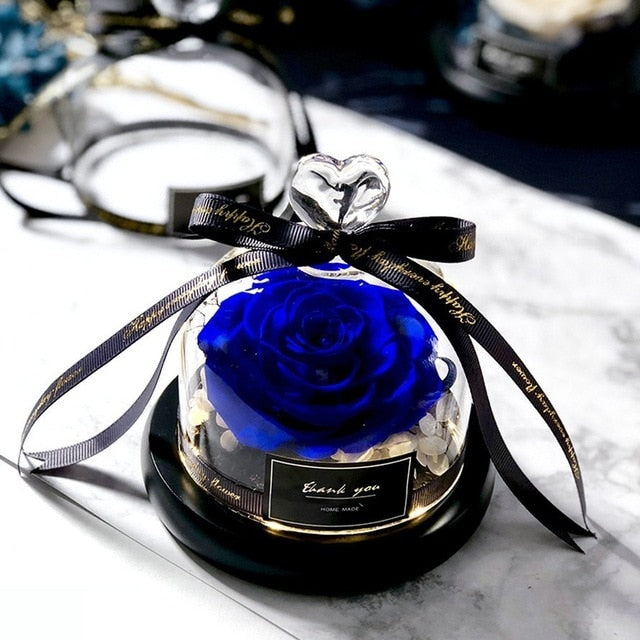 Preserved Rose Dome Gift With Warm Illuminated Lights