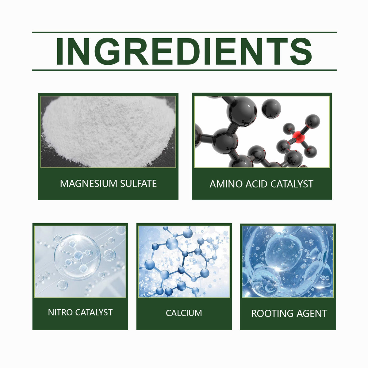 Plant Growth Nutrient Powder for Healthier Soil & Growth