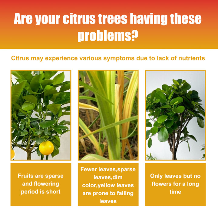 Citrus Tree Fertilizer 3-1-2 Liquid Concentrate 100ml