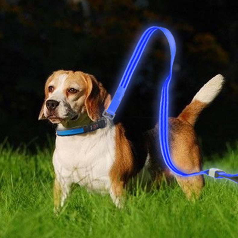 LED Dog Leash for Nighttime Visibility | USB Rechargeable