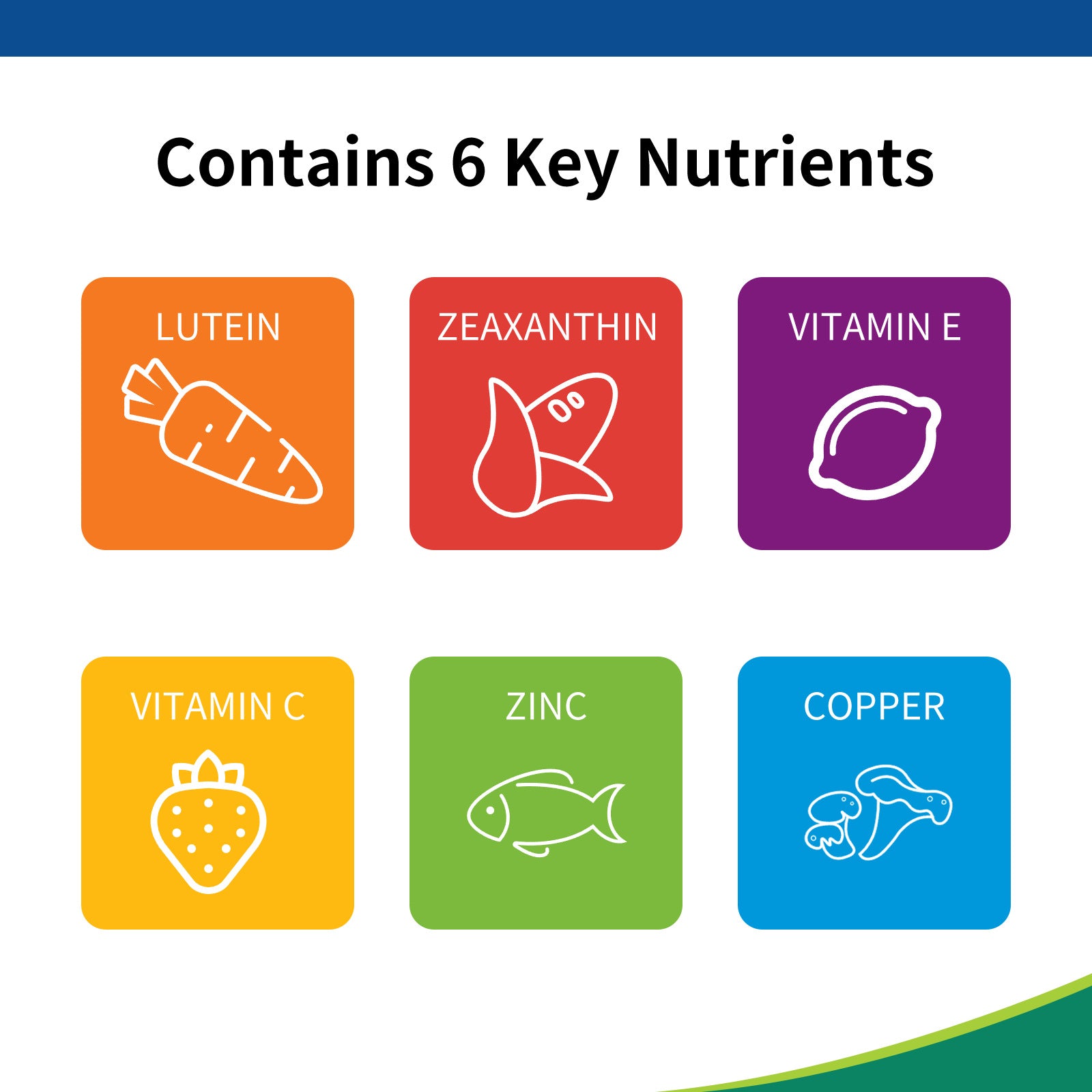 Six colorful square icons displaying key nutrients: orange Lutein carrot, red Zeaxanthin butterfly, purple Vitamin E lemon, yellow Vitamin C strawberry, green Zinc fish, blue Copper mushrooms