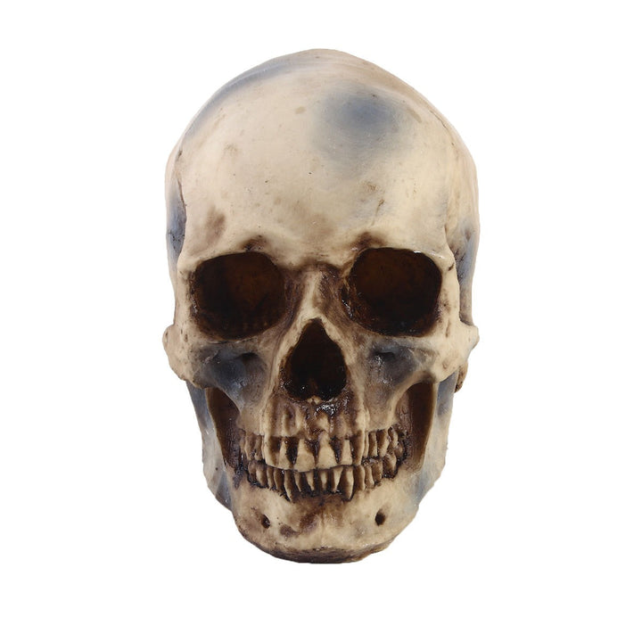 1:1 Human Skull Replica for Gothic Décor Displays