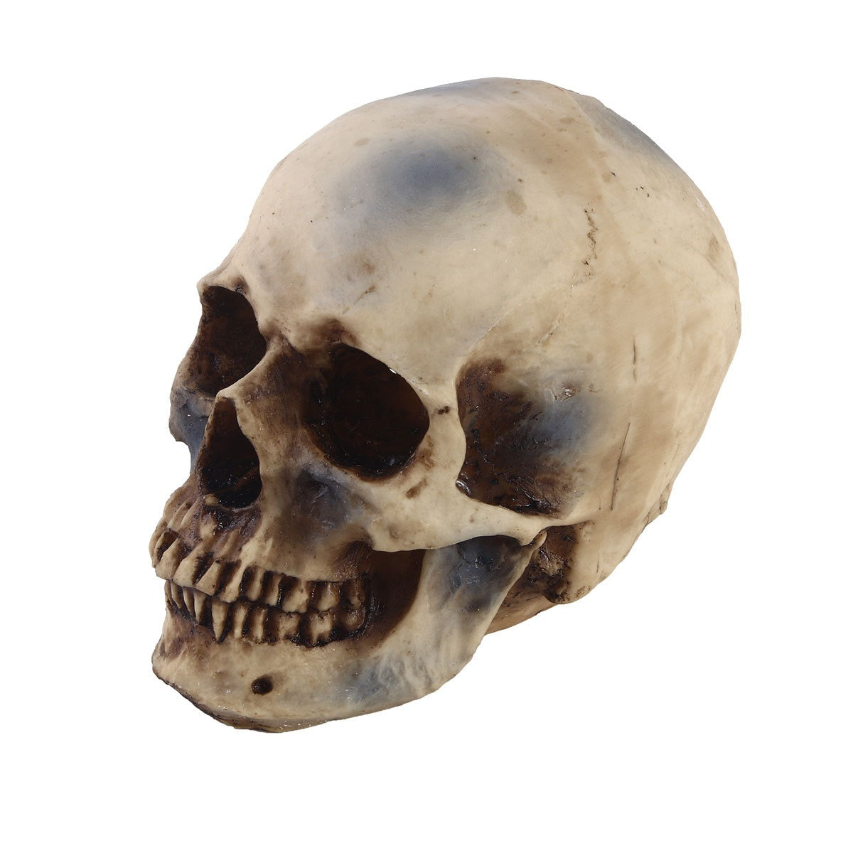 1:1 Human Skull Replica for Gothic Décor Displays