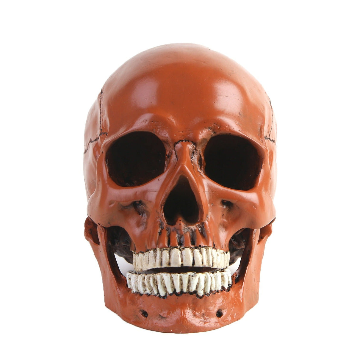 Resin Skull Ornament With Realistic Gothic Details