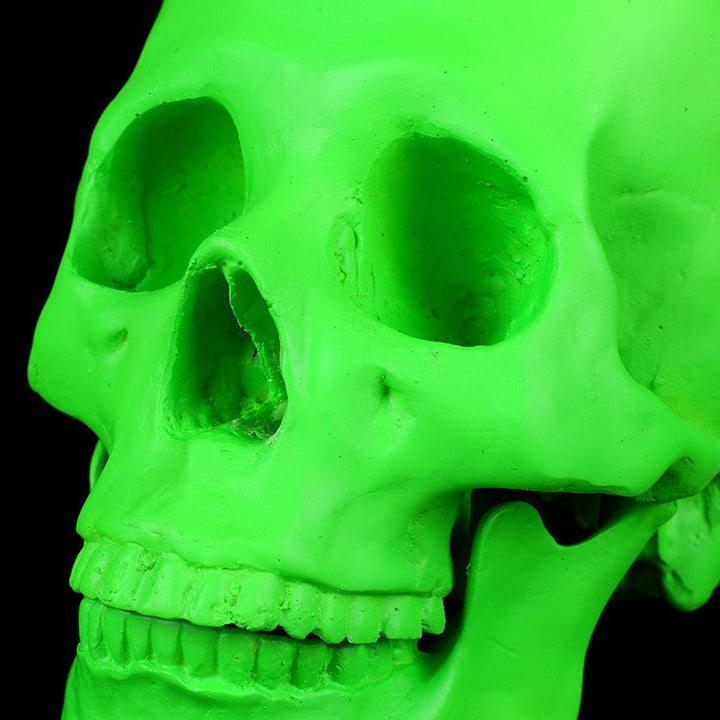 Neon Green Skull Ornament For Gothic Display Decor