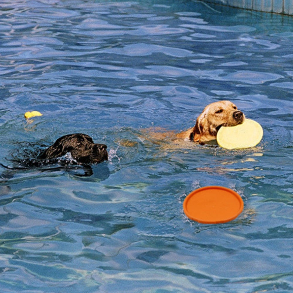 Interactive Dog Flying Disc for Fetch & Enrichment