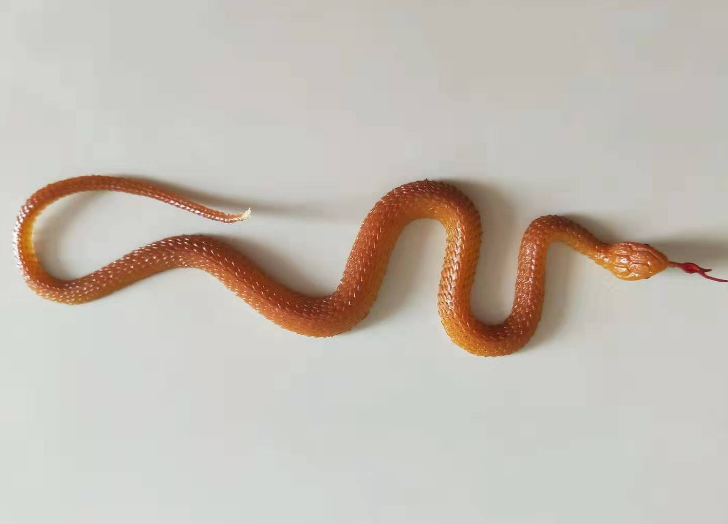 Realistic Snake Prank Toy for Halloween Party Fun Prop