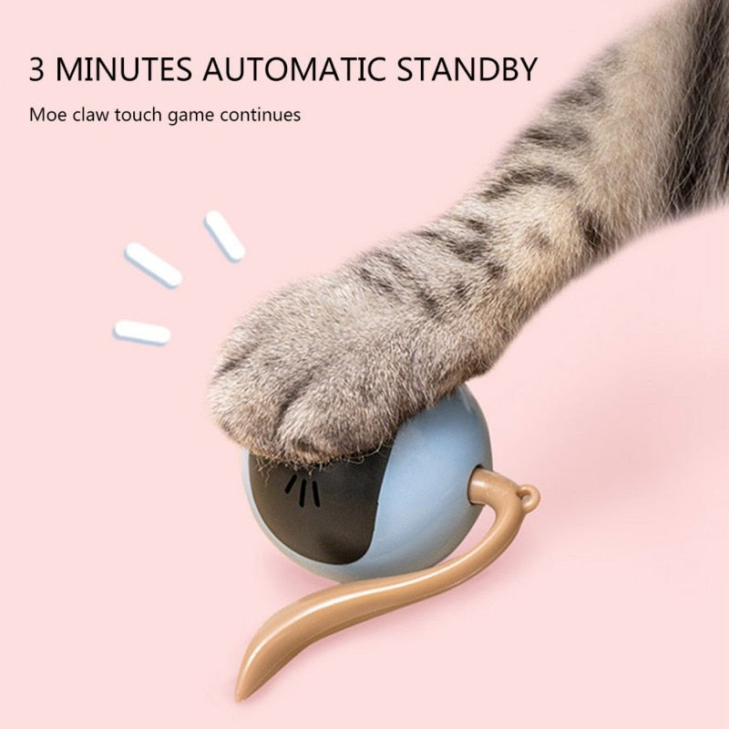 Smart Cat Toy Ball: Self-Rolling Indoor Exercise