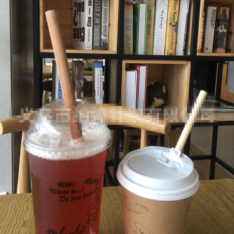 Carbonized Bamboo Smoothie Straws, Reusable Pointed Set