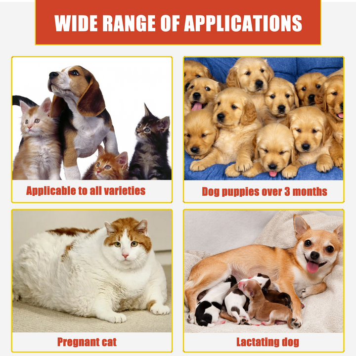 Pet Hemostatic Powder for Fast Minor Wound First Aid