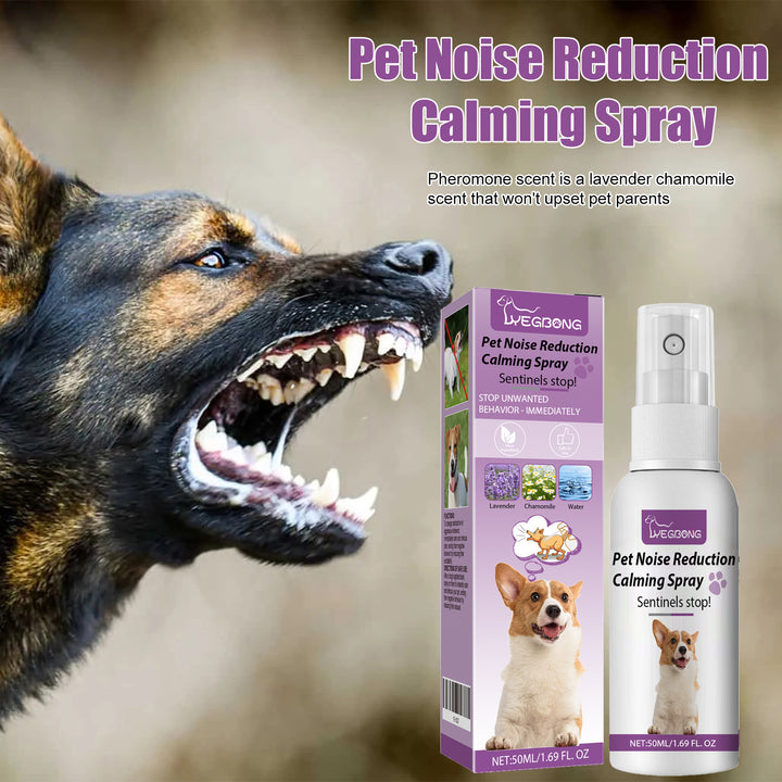 Pet Calming Spray for Noisy, Reactive Dogs at Home
