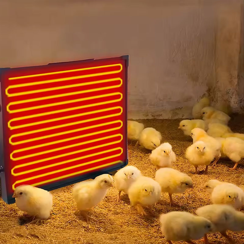 Chicken Coop Heater With Thermostatic Radiant Control