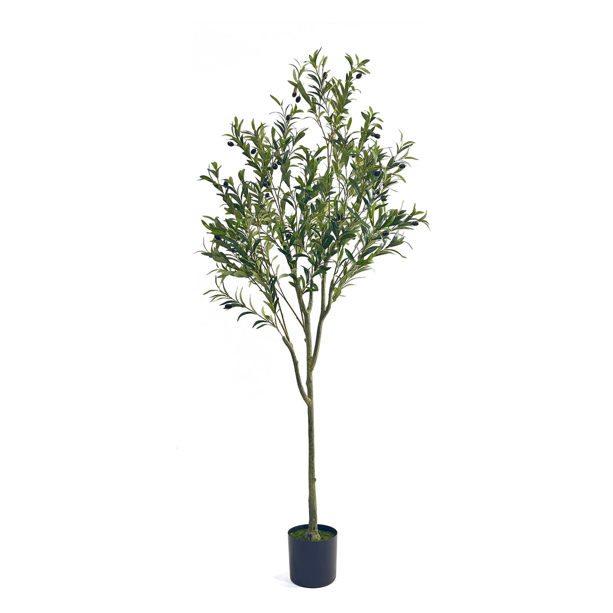 Artificial Olive Tree for Living Room: Lifelike, Zero Care