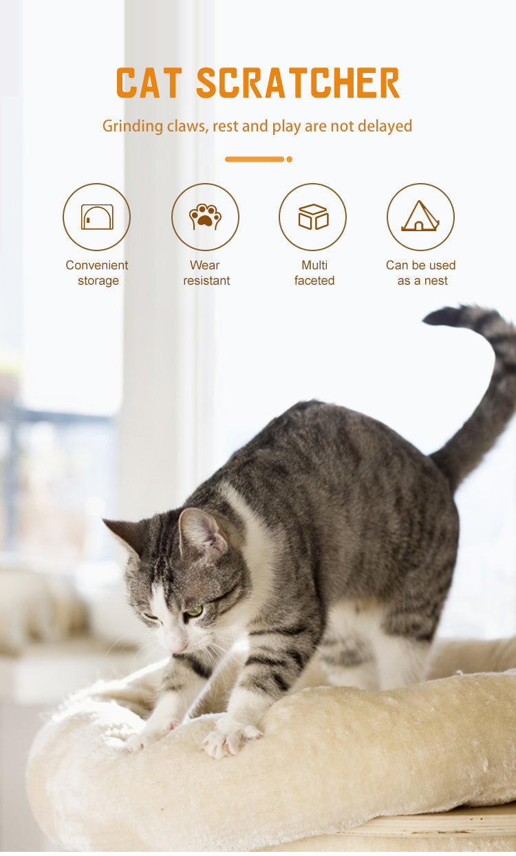 Cat Scratching Board for Boredom & Furniture Relief