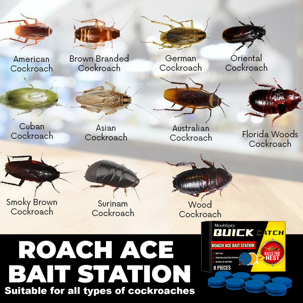 Roach Bait Stations for Fast, No-Mess Home Control