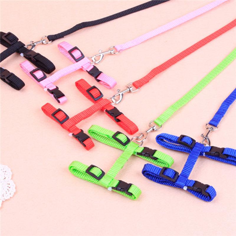 Adjustable Nylon Cat & Dog Harness and Leash Set for Walks