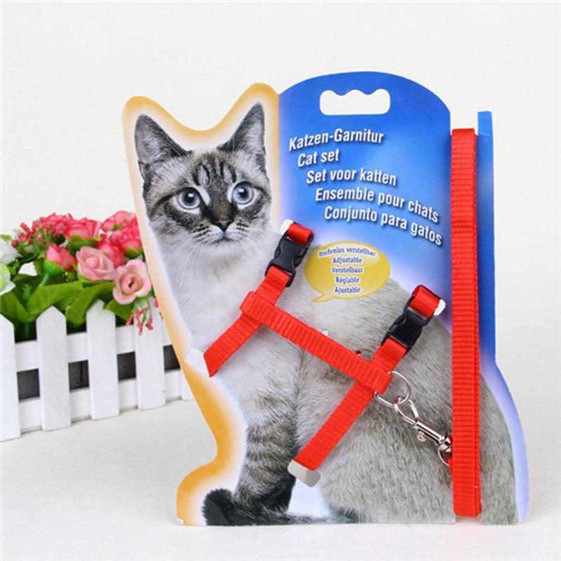 Adjustable Nylon Cat & Dog Harness and Leash Set for Walks