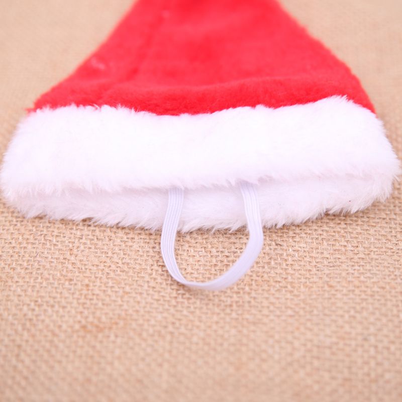 Christmas Pet Santa Hat for Adorable Holiday Photo Fun