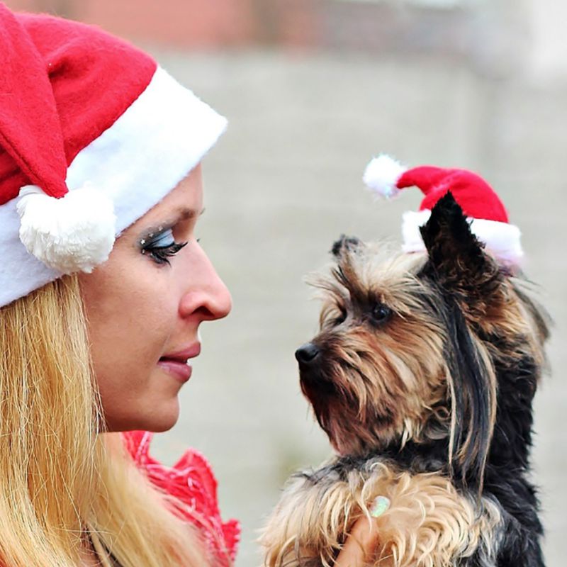 Christmas Pet Santa Hat for Adorable Holiday Photo Fun
