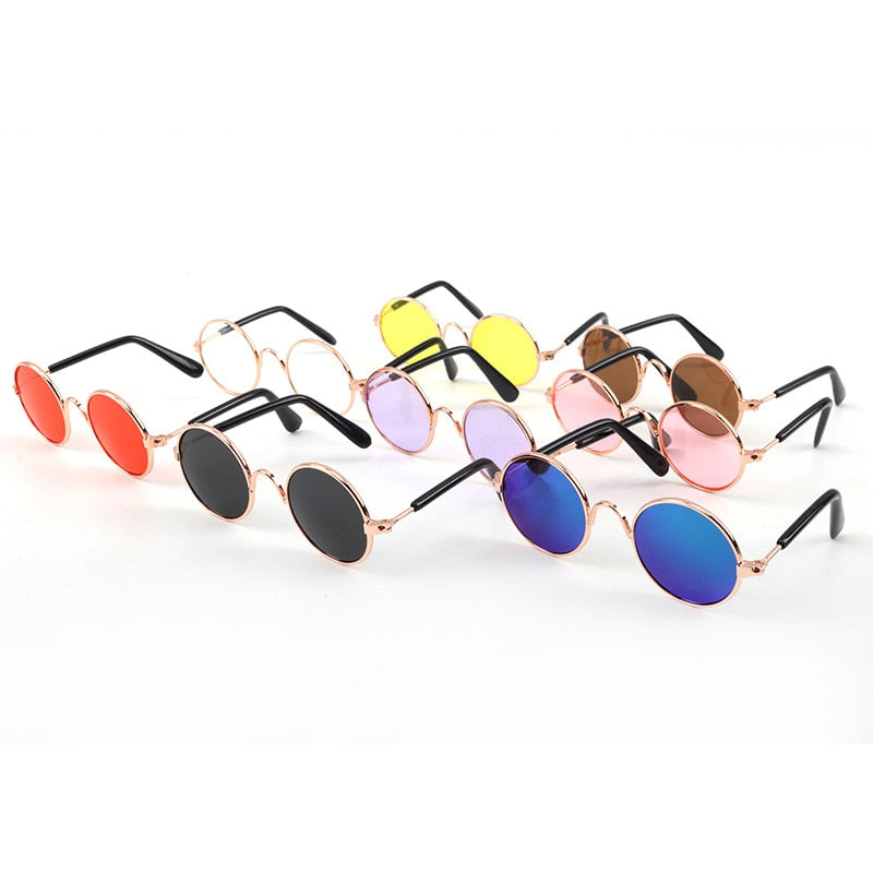 Pet Cat Glasses for Small Dogs | Playful Photo Style