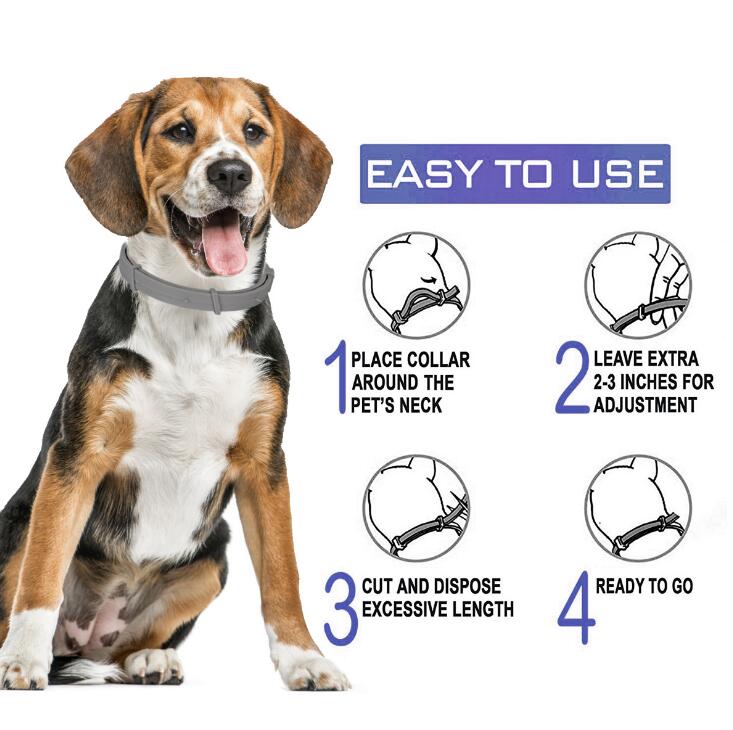 Pet Flea & Tick Collar – Up to 8 Months Protection