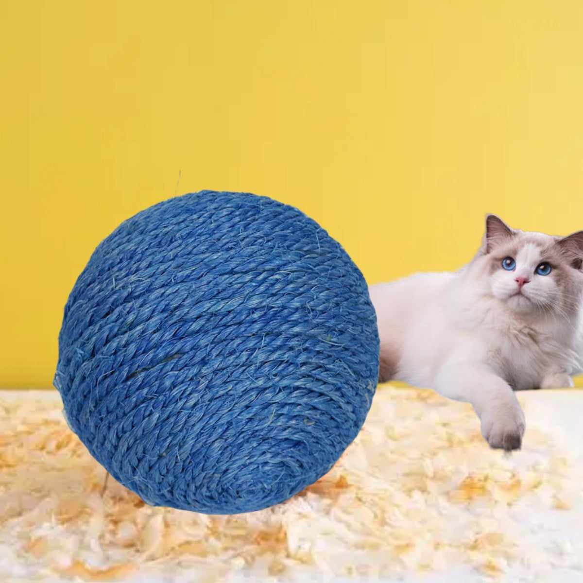 Feathered Sisal Cat Toy for Independent Indoor Play