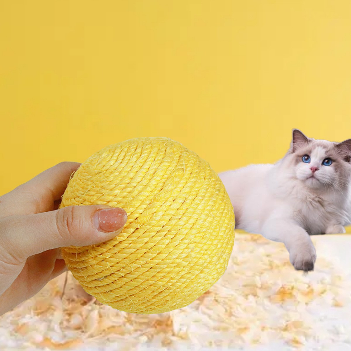 Feathered Sisal Cat Toy for Independent Indoor Play