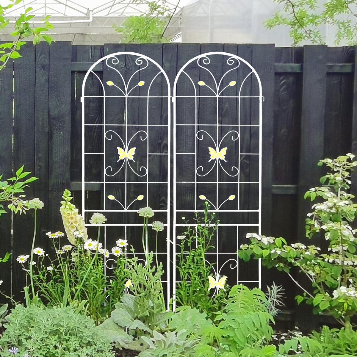 Metal Garden Trellis for Climbing Roses, Rustproof 2-Pack