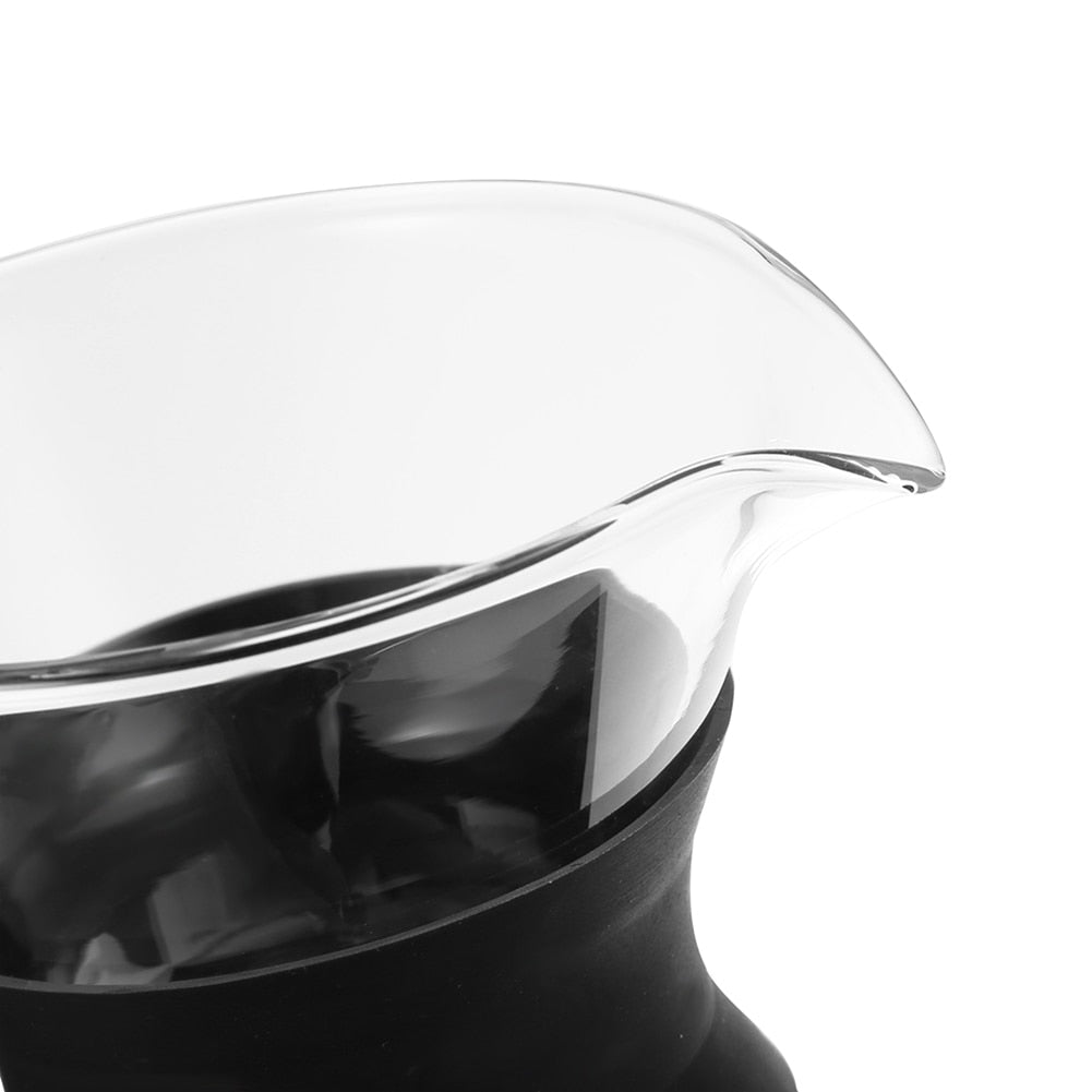 Paperless Pour Over Coffee Dripper with Glass Carafe