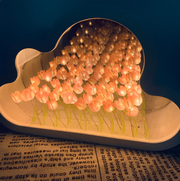 Infinite Cloud Mirror Tulips - wanelo - store - roman